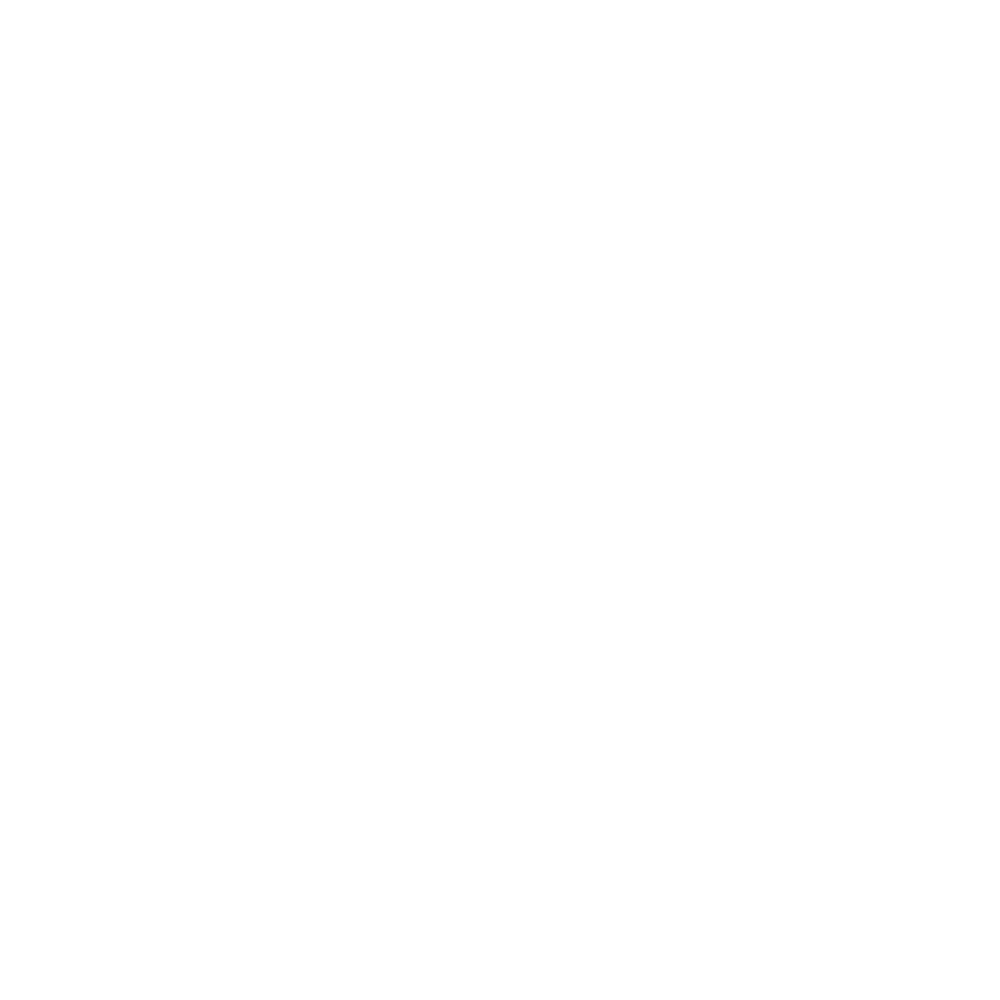 UEFA Champions League
